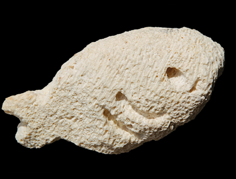 biopescepiccolo