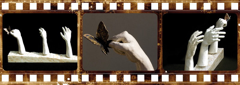 farfalla_frame